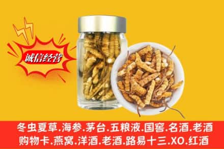 上饶信州区回收散虫草