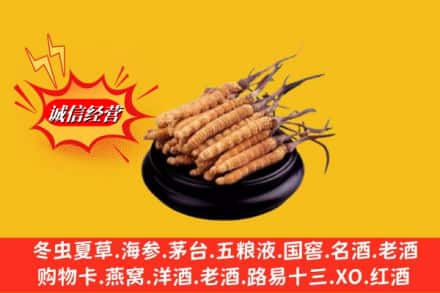 上饶信州区求购回收虫草多少钱每克
